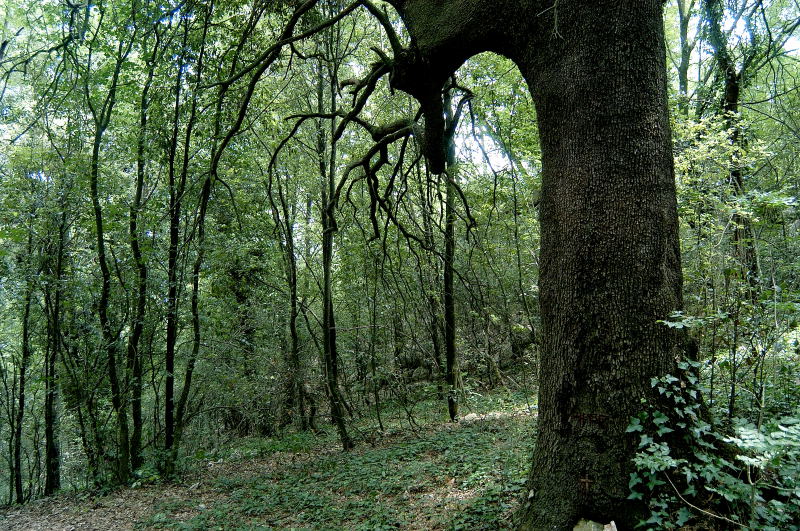 monte soratte e il sentiero degli eremi